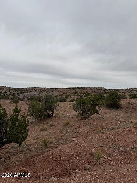 2nd image of N6124 N N6124 -- #202-44-022