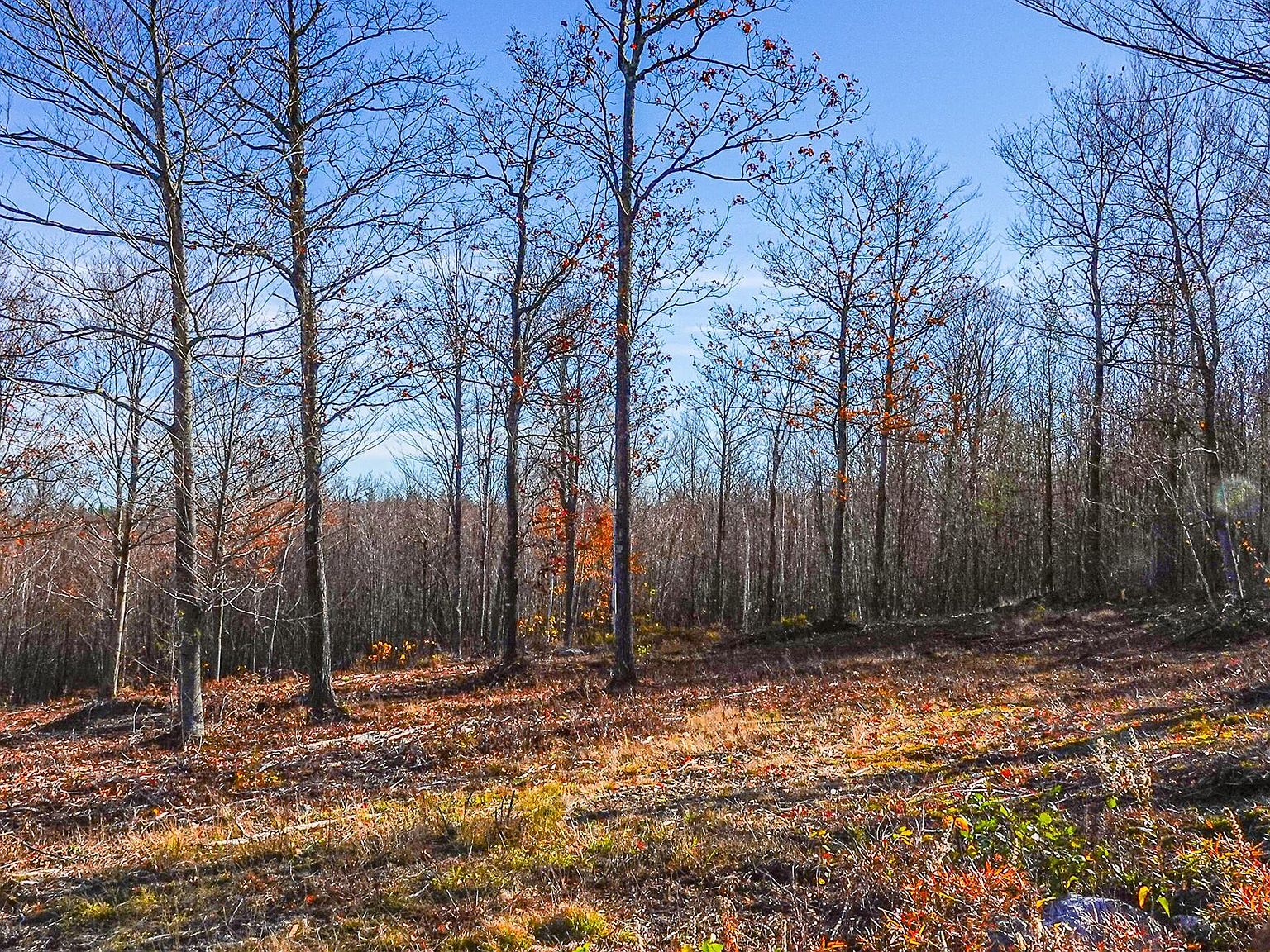 Lot 10 Mine Road, Stoneham, ME 04231 MLS 1546911 Zillow