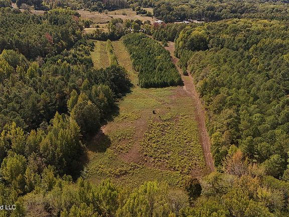 2nd image of Bluff Rd