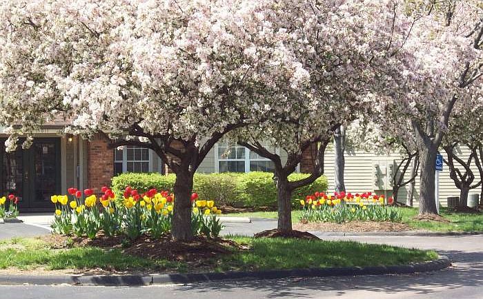 Beautiful grounds