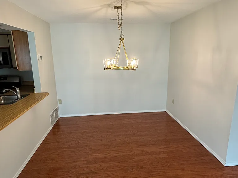 311 Society Pl — Photo 6