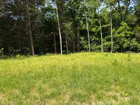 000 County Road 318 Lot 7, Tecumseh, MO 65760