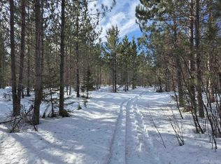 40 Acres Off, Champion, MI 49814