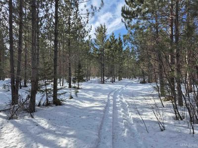 40 Acres Off, Champion, MI, 49814