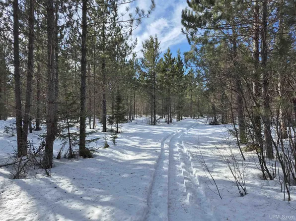 40 Acres Off, Champion, MI 49814