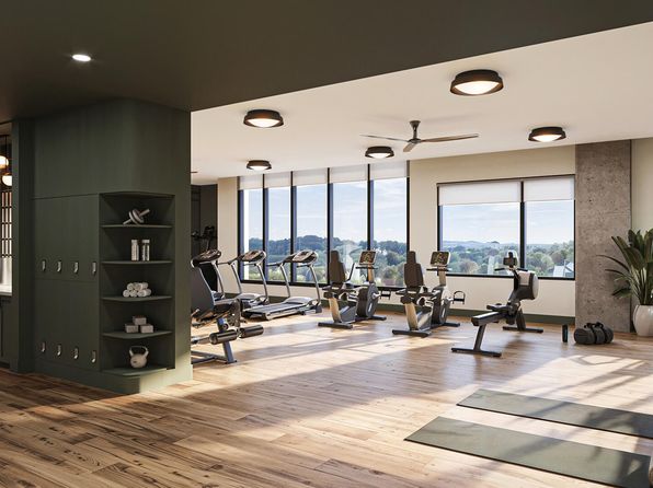 austin-texas-447645509 picture