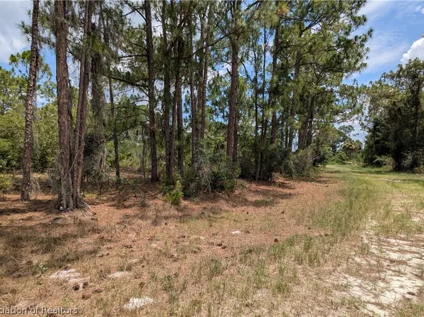 543 Branchwood Ave, Lake Placid, FL 33852