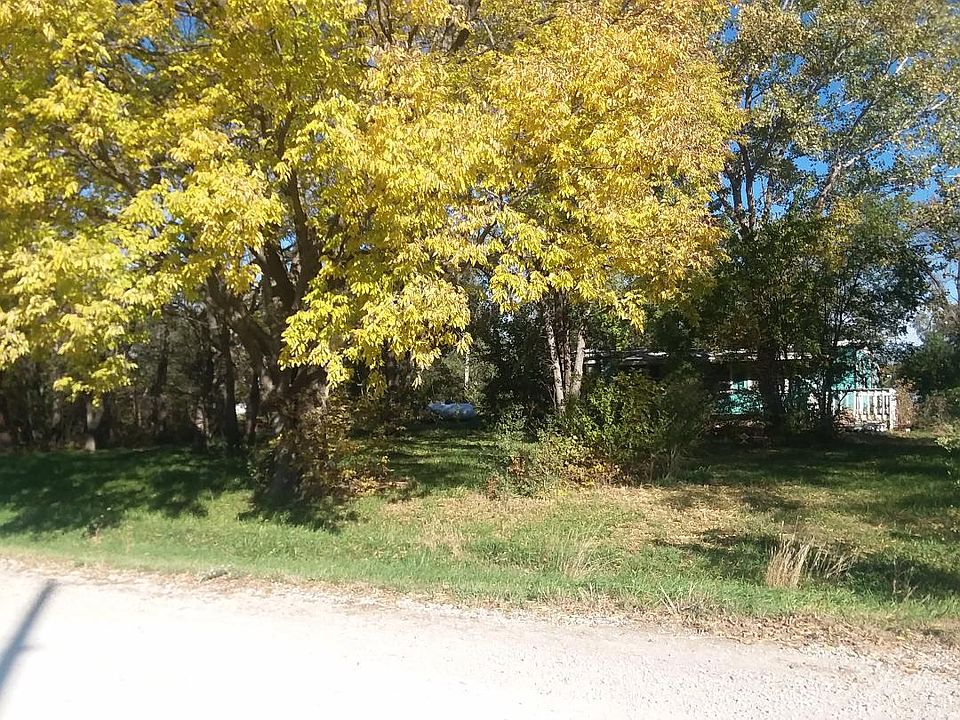 Trees provide privacy