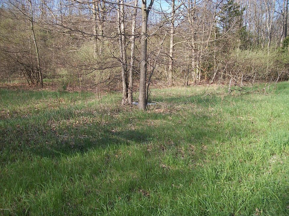 2nd image of 31489 County Road 390