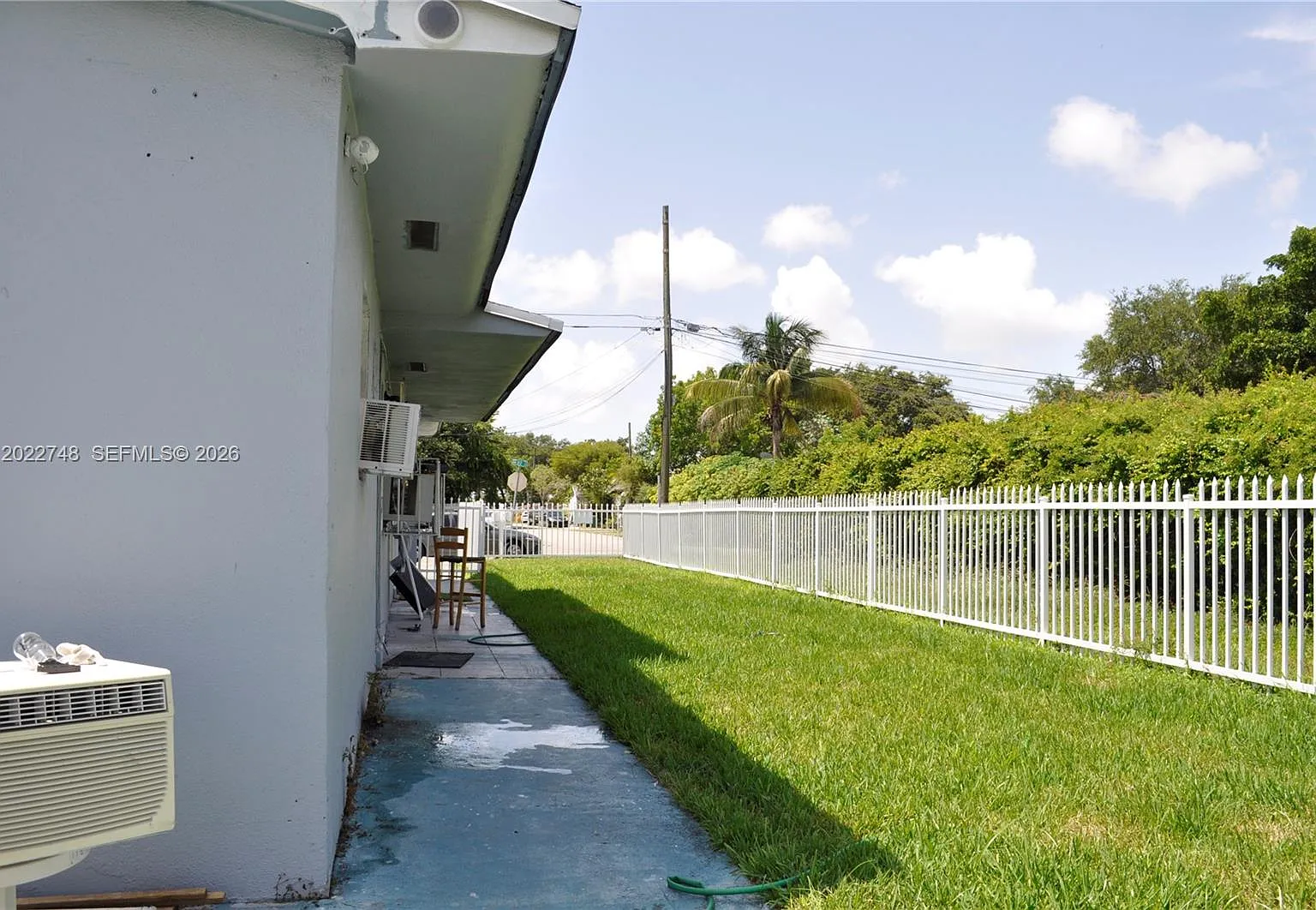 Avocado Park — Photo 3