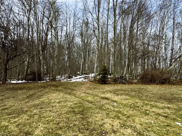 0 Minden Rd N, Pt Hope, MI 48468
