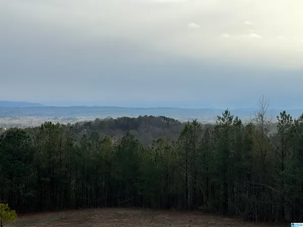 223 Mountain Ridge Rd #65A, Oxford, AL 36203