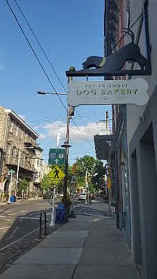 Shop Local