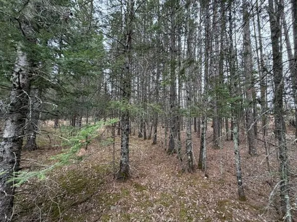 5th St SE, Cook, MN 55723