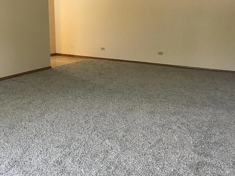 Living room and dining room
