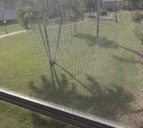 Another view from sunroom