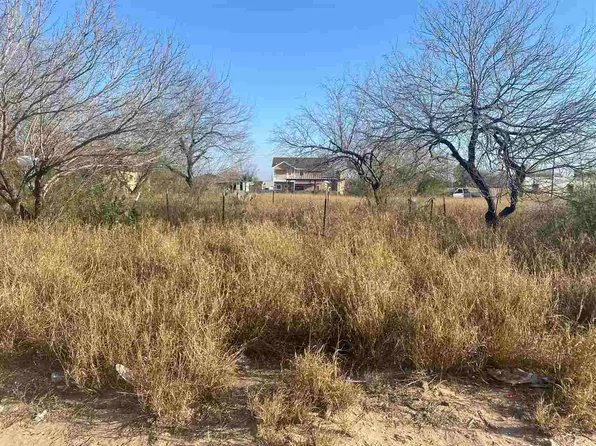 1506 Col Antonio Zapata Ave, Zapata, TX 78076