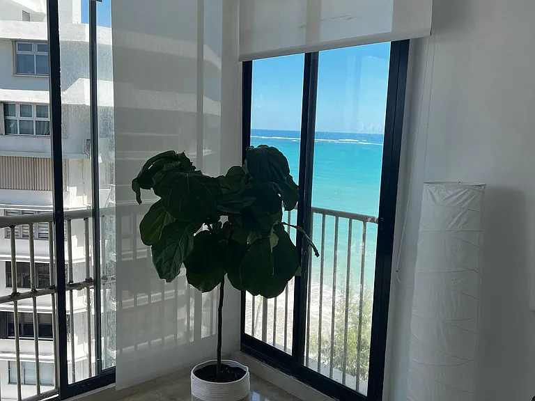 3919 Avenue Isla Verde #10B — Photo 2