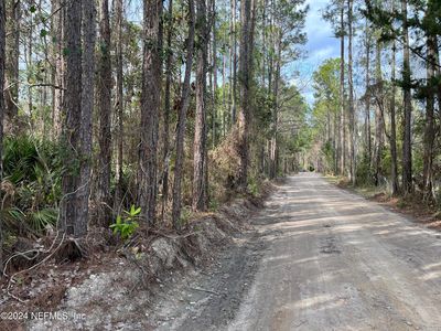 111 TROUT Drive, Palatka, FL, 32177