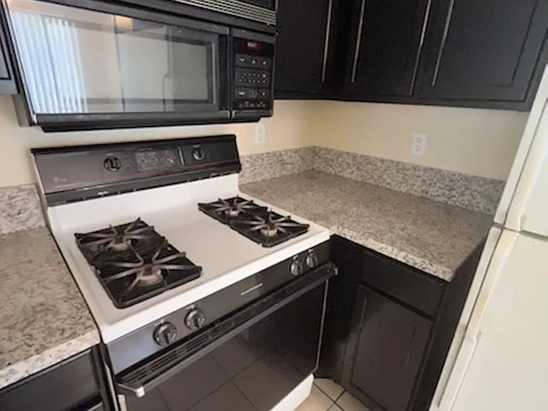 5235 Caspian Springs Dr #204 — Photo 9