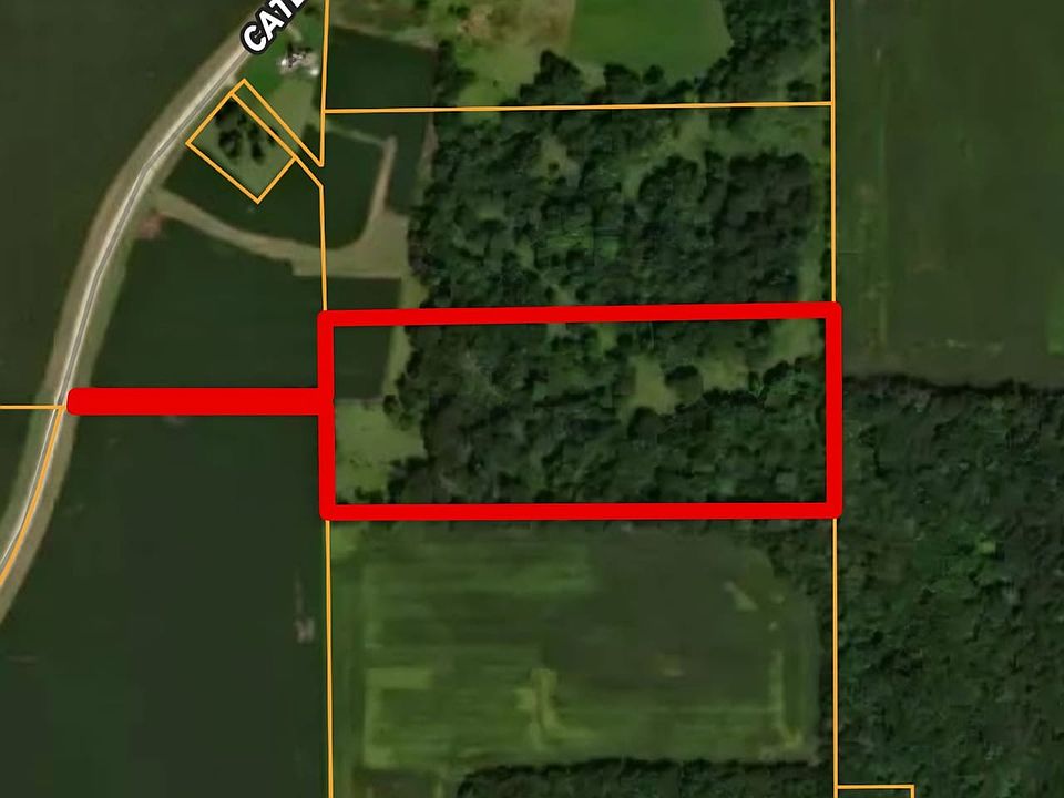 Screenshot 20260304 144355 Land Id