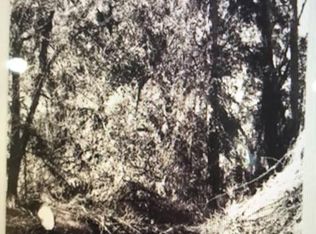 213 Belle Dr, Satsuma, FL 32189