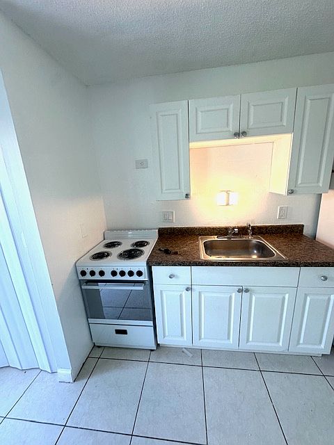 Kitchen New Stove / New Hood Soon
