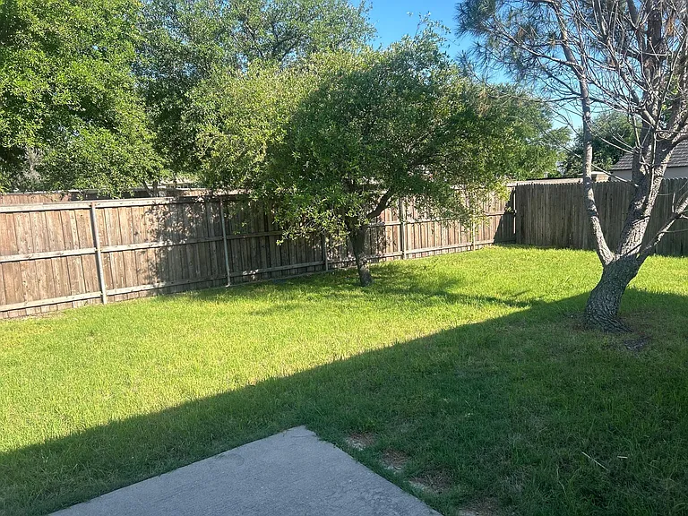 nice backyard