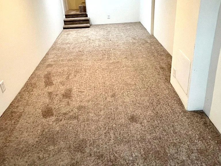 27 Sunshine Rd #1 — Photo 8
