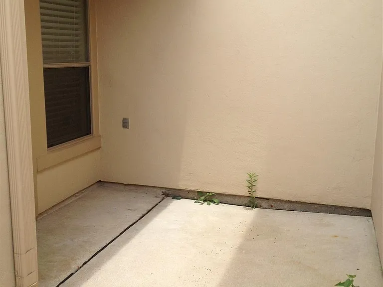 2038 Palm Forest Ln — Photo 18