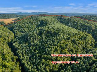 Macks Mountain Rd NW, Indian Valley, VA 24105
