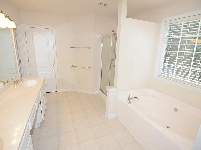 Master bathroom view 1