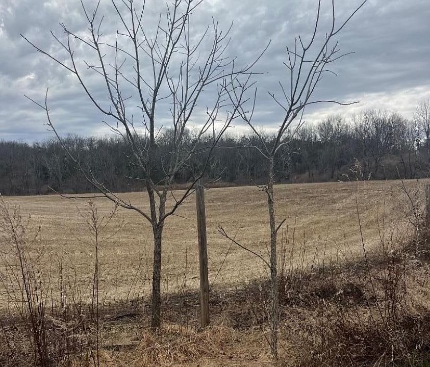 2nd image of 236 Demarest Rd