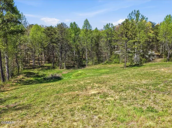 2535 Dark Hollow Rd Lot 102E, Cosby, TN 37722