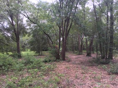 0 N Volusia Ave, Lake Helen, FL, 32744