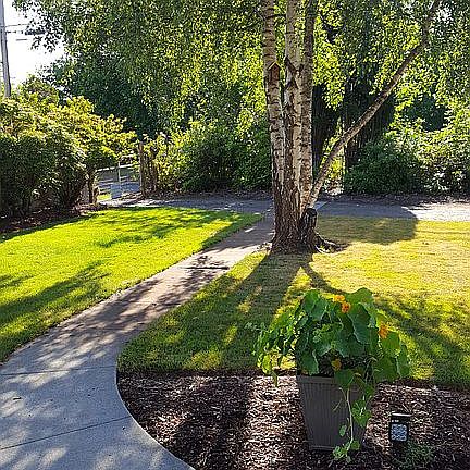 Front Yard