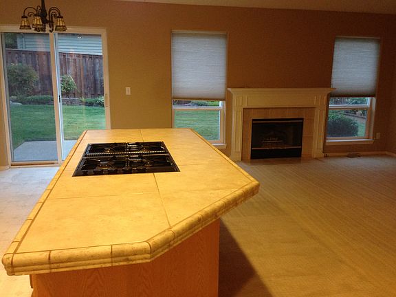 Gas fireplace