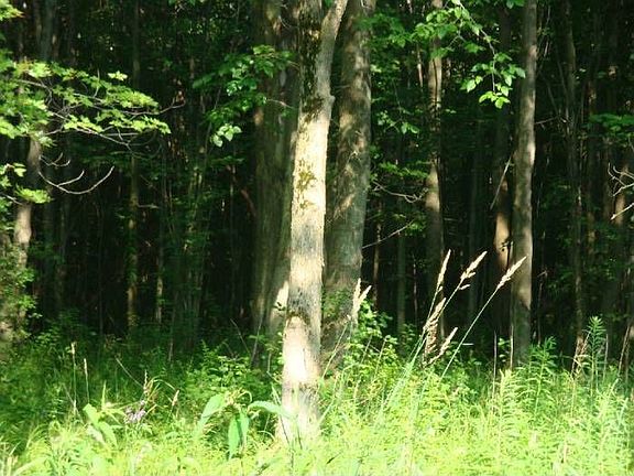 Ashtabula County
