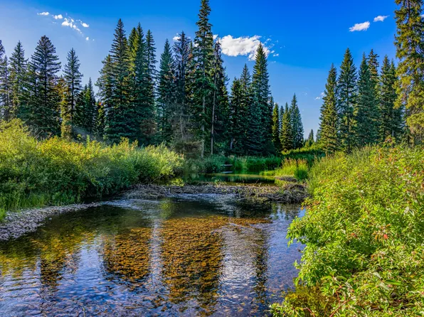 Nhn Rte #83, Seeley Lake, MT 59868