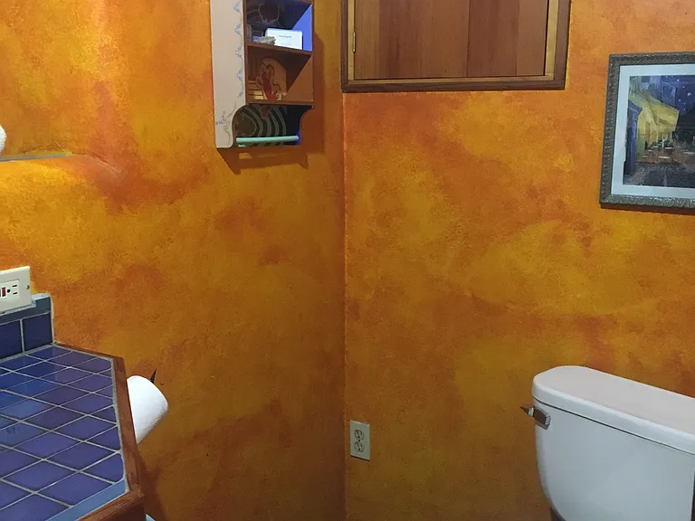 Toilet - downstairs bathroom