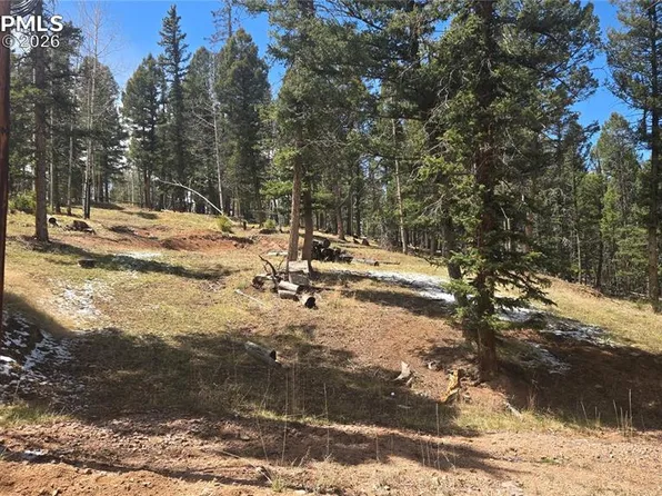 151 Mount Elbert Rd, Florissant, CO 80816