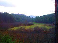 Stunning Year Round View