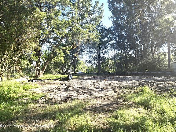 5th image of 7139 Wilcox Dr