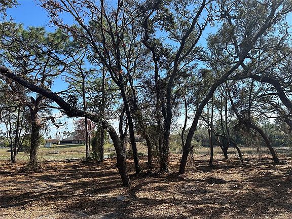 5th image of 8362 Eric St #40