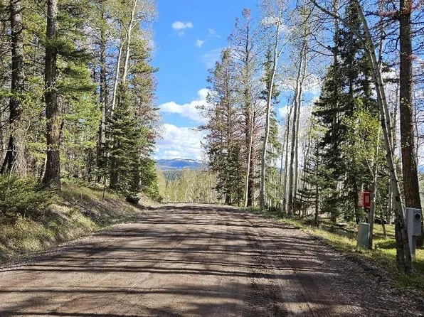 97 Aspen Trail, Cimarron, CO 81220