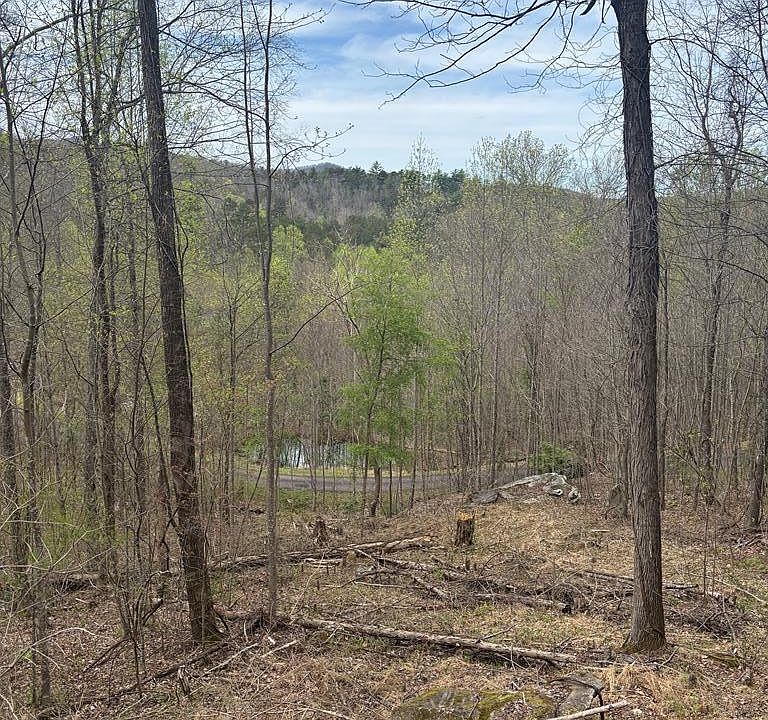 1st image of 4 Buck Ridge Dr