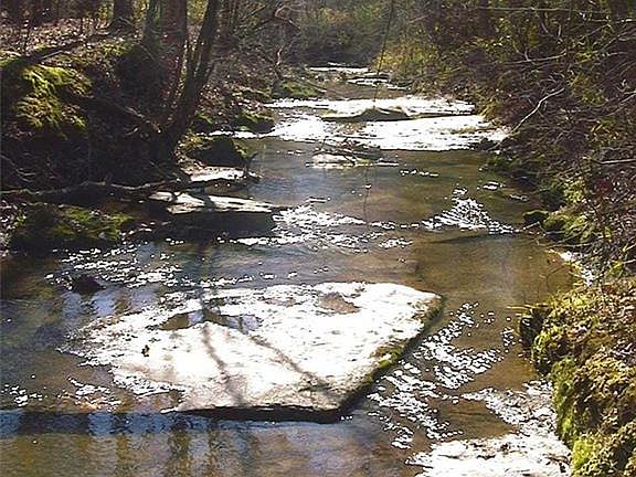 2nd image of 0 Rabbit Farm Rd