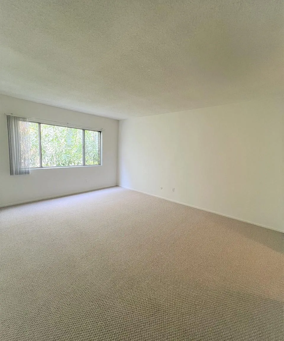2 bed, $3,500 — Photo 3