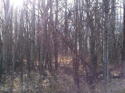 Xxx 55th St, Princeton, MN, 55371