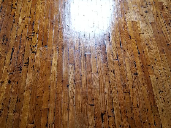 Hardwood Floors in living room and Bedroom 1
